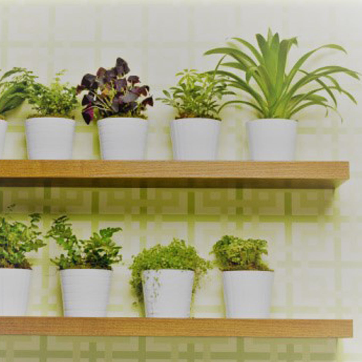 Rustic Ash Floating Shelves 1200x250x50mm (Double Deal)