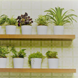 Rustic Ash Floating Shelves 1200x250x50mm (Double Deal)