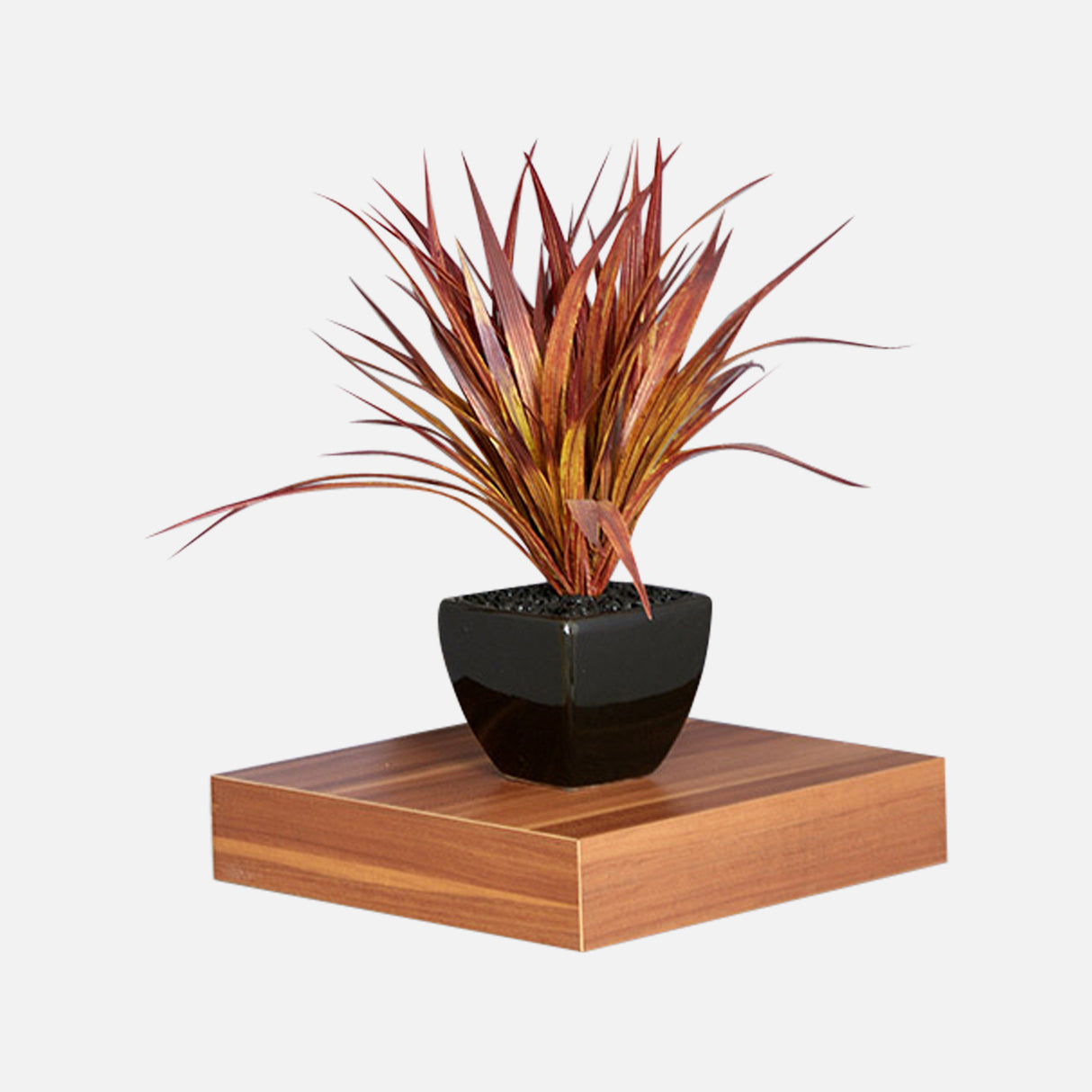 European Made Floating Shelf Walnut 250x250x50mm