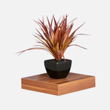 European Made Floating Shelf Walnut 250x250x50mm