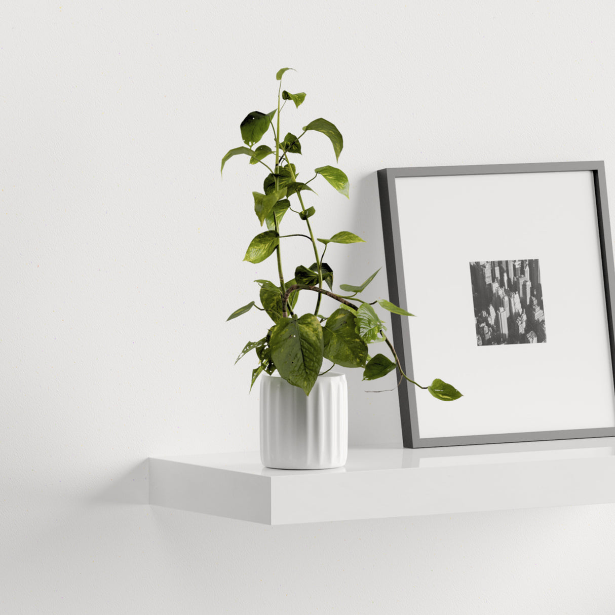 Floating Shelf Gloss White 600x250x50mm