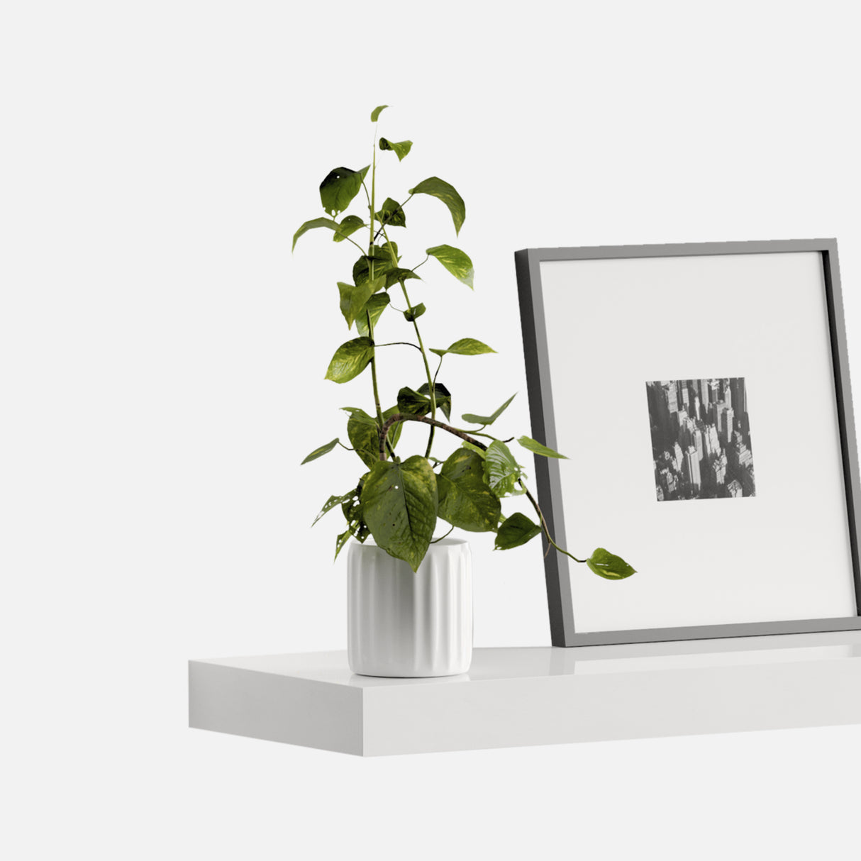 Floating Shelf Gloss White 1500x250x50mm