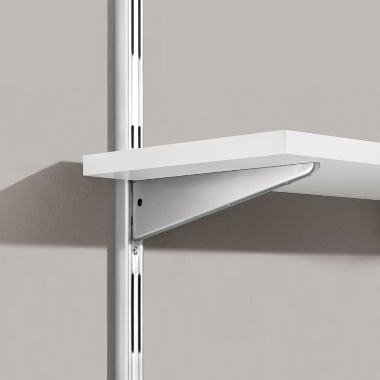 Galvanised Double Slot 50mm Pitch Wall Strips 1495mm